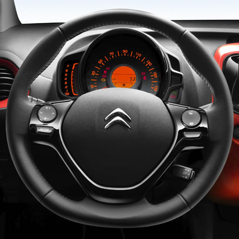 Citroen dashboard - dump